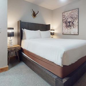 One-Bedroom Premier Apartment